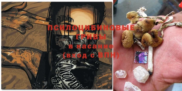 mdma Богданович
