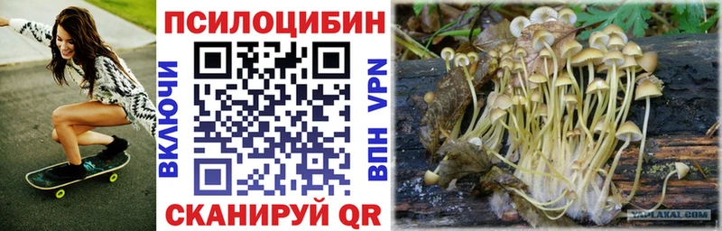 как найти   Верхний Тагил  Псилоцибиновые грибы GOLDEN TEACHER 